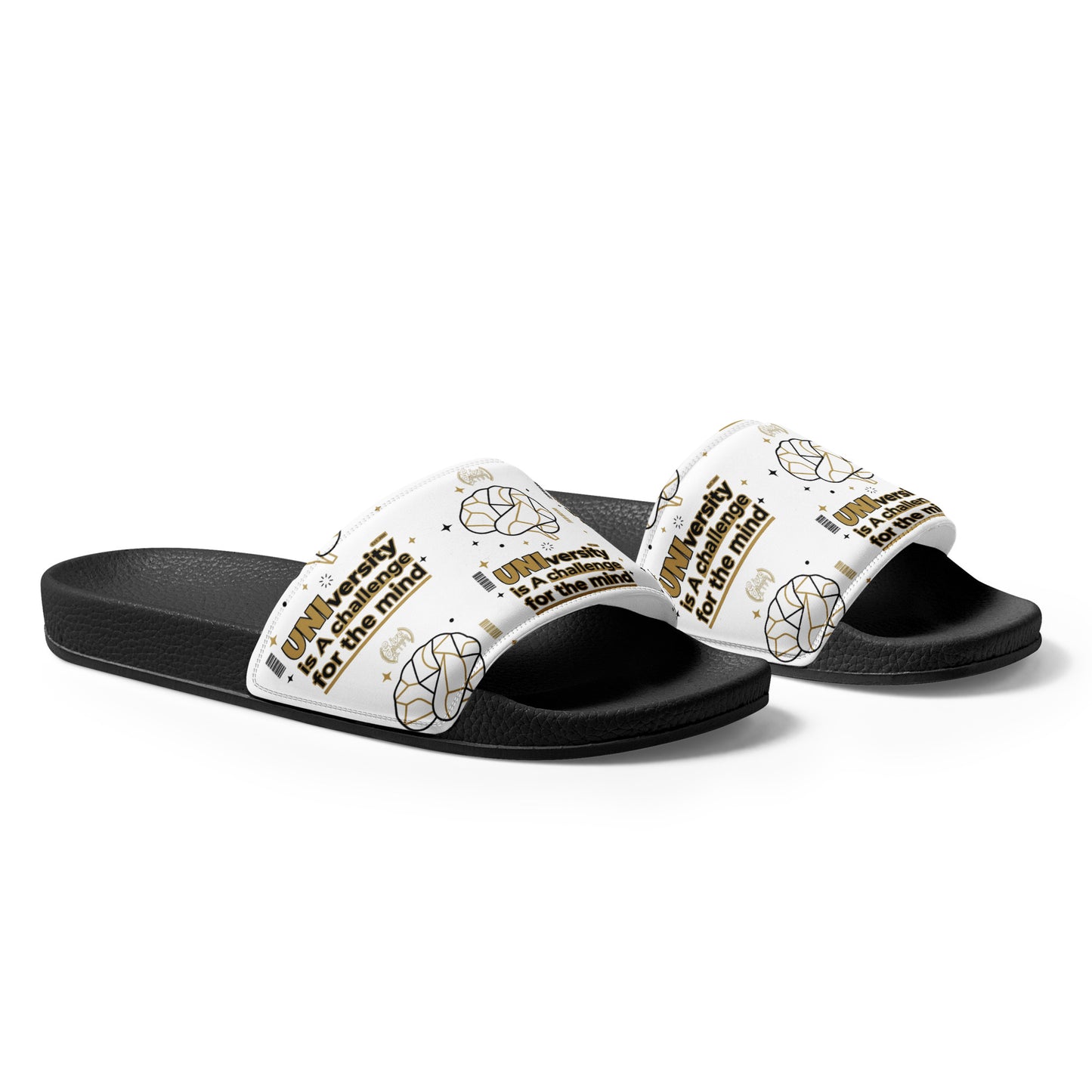Black and white slides with 'DGNS' branding on a white background