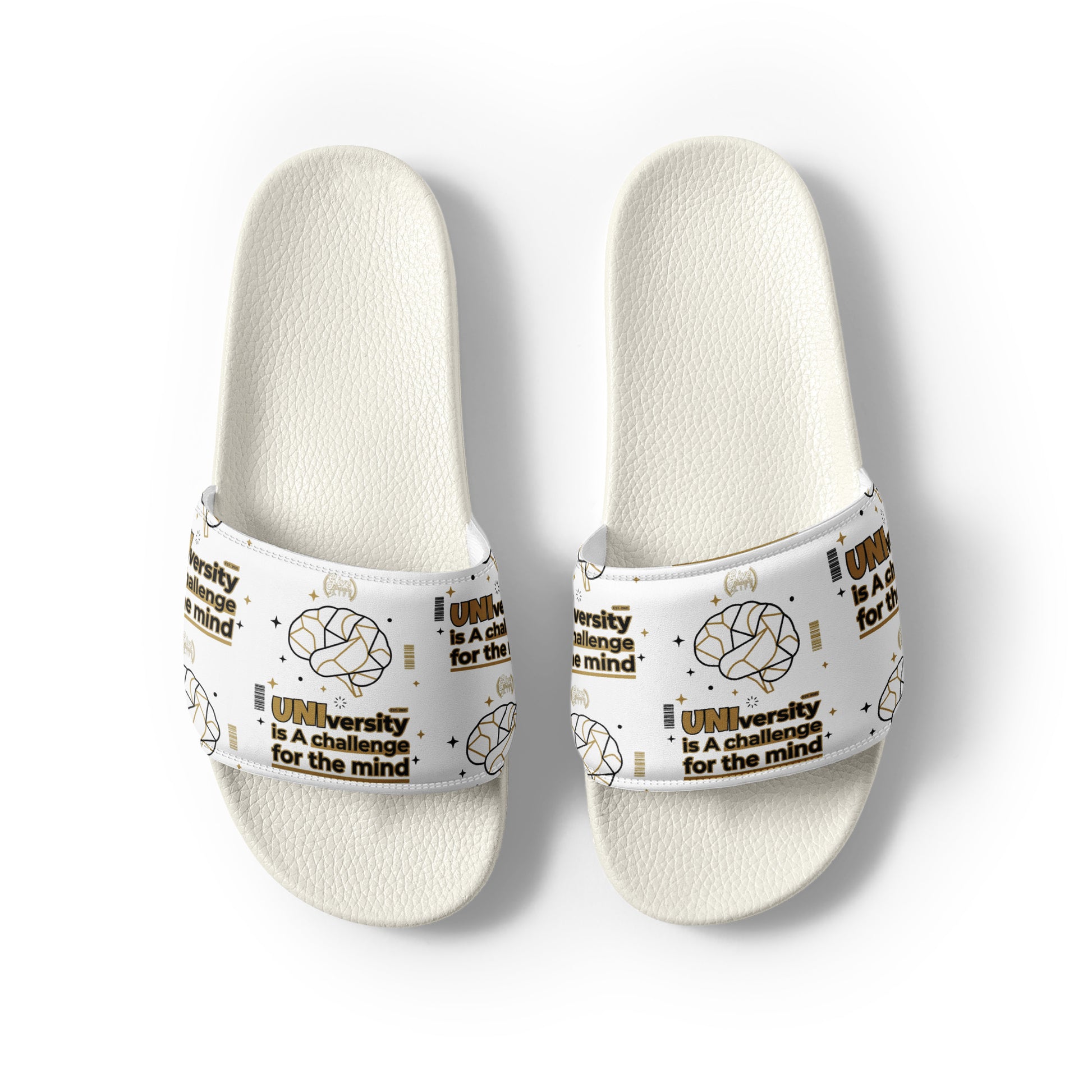 White slides with text and graphics on a white background