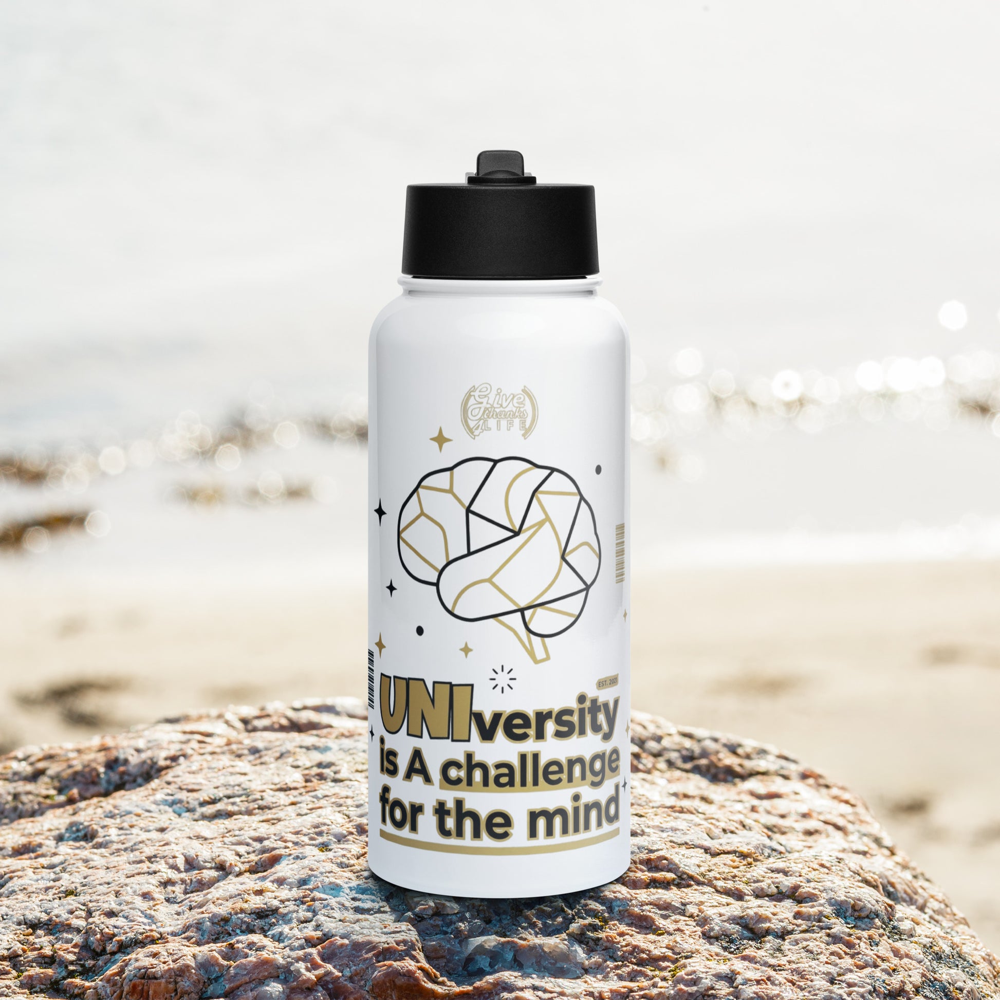 White water bottle with text and design on a rock by a beach