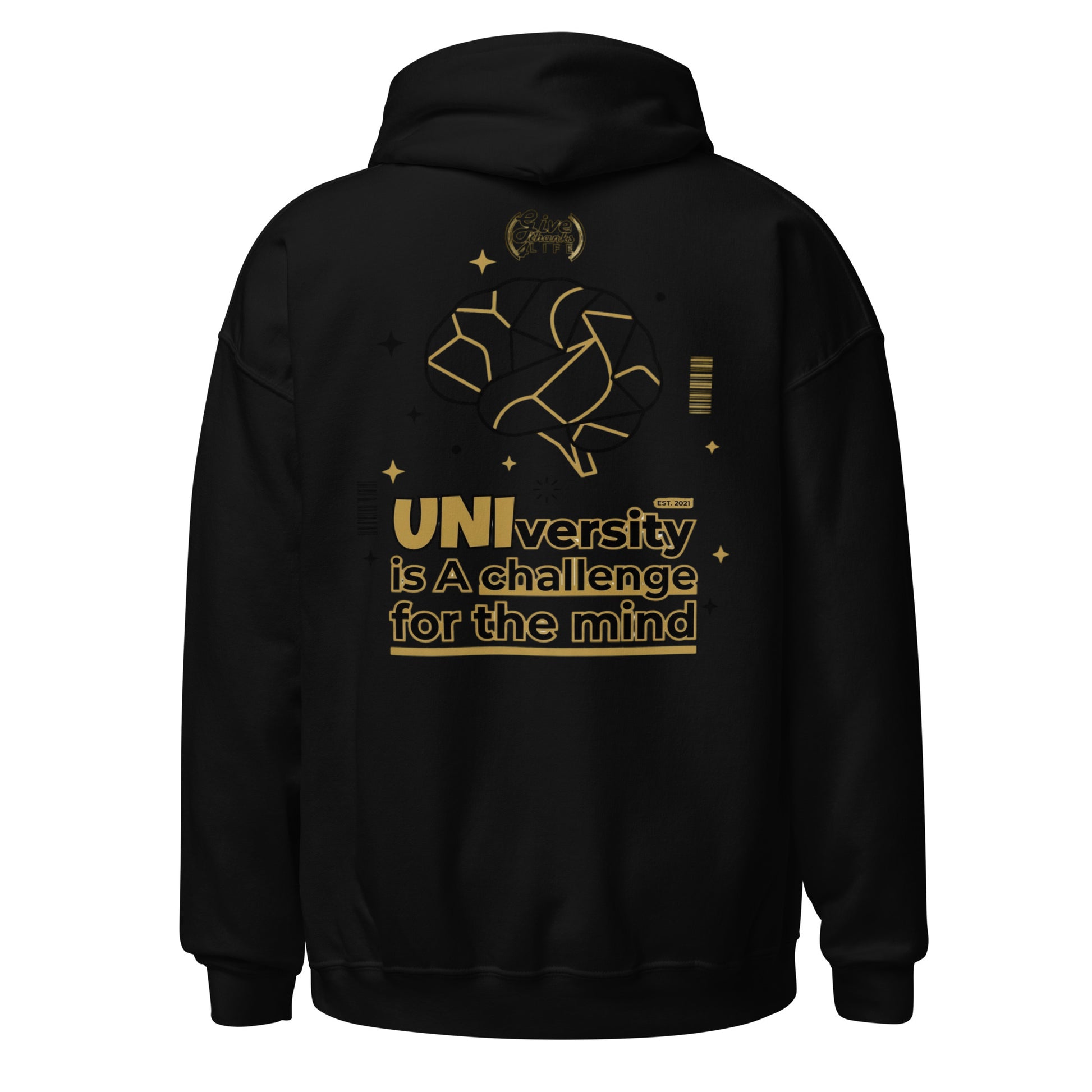 unisex-heavy-blend-hoodie-black-back