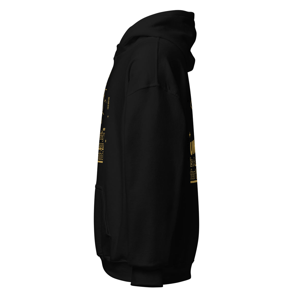 GT4L Student Wellbeing Hoodie, view 13