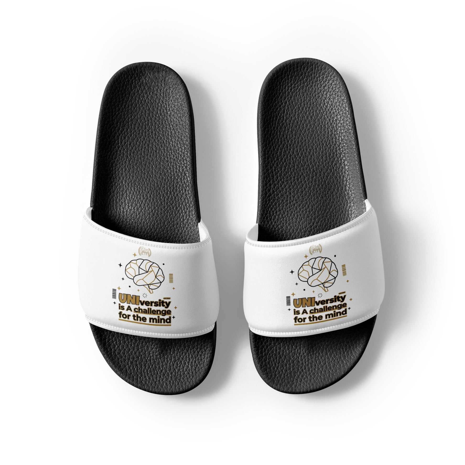 Black and white slides with text and graphics on a white background