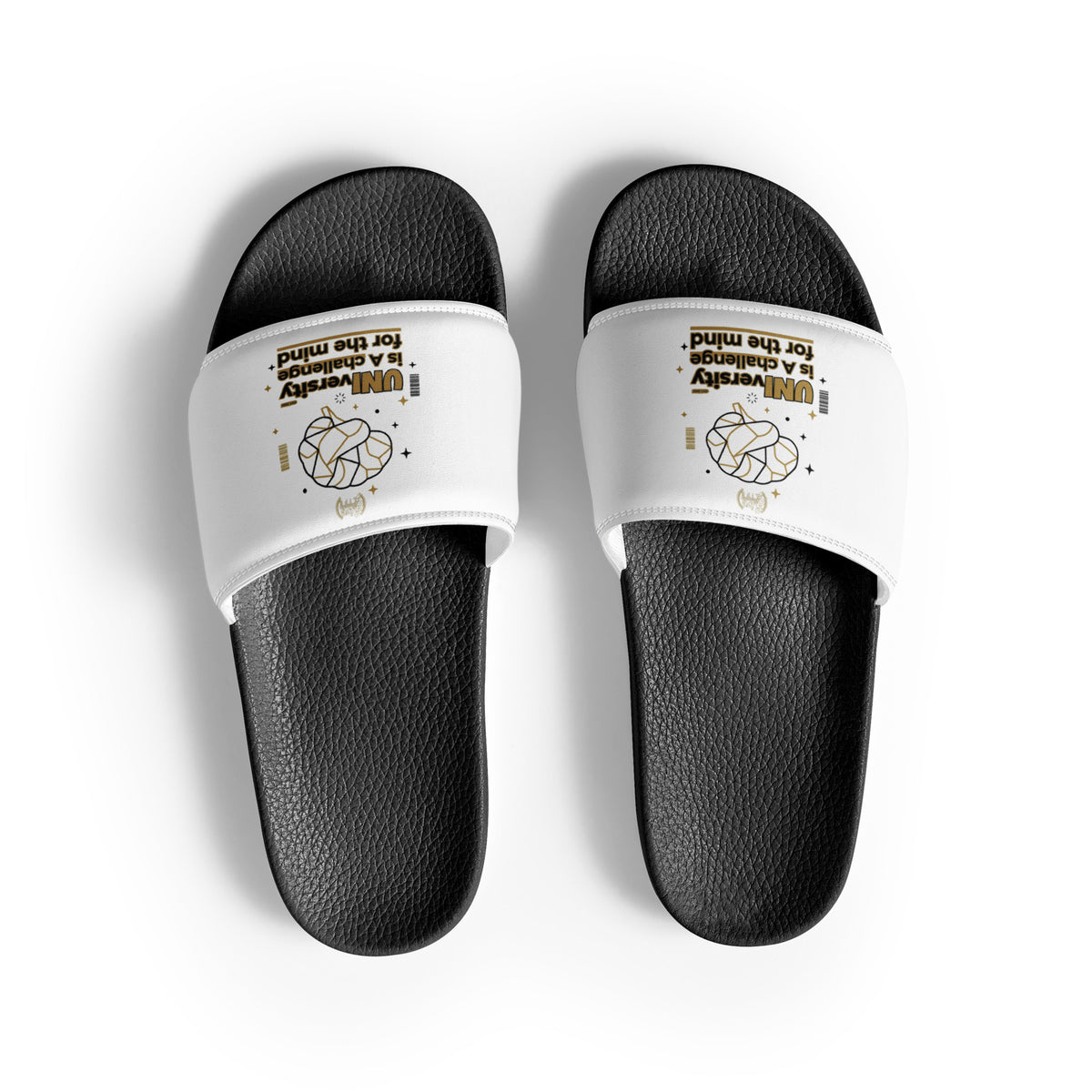 GT4L Student Wellbeing Women's Slides, view 16