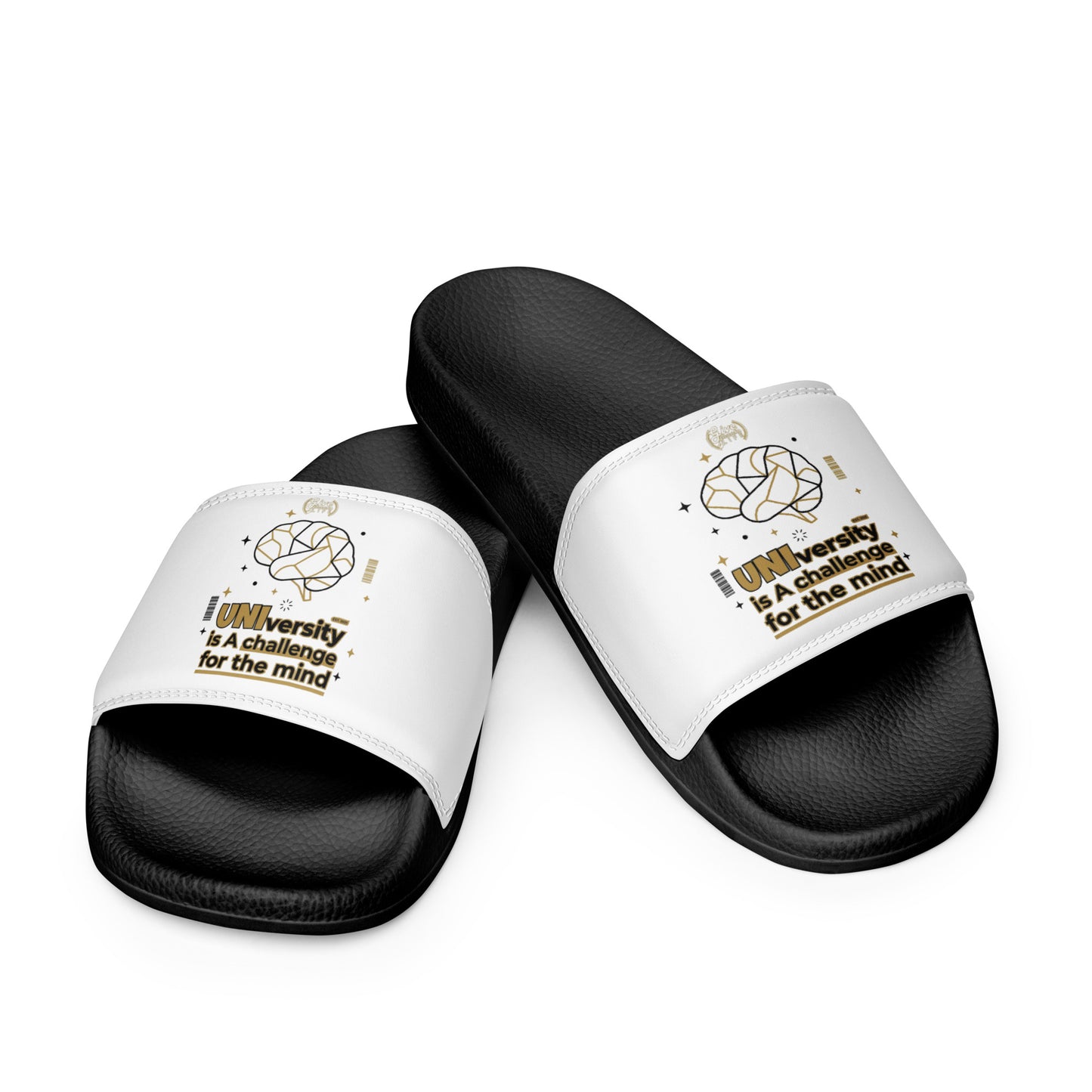 Black and white slides with motivational text on a white background