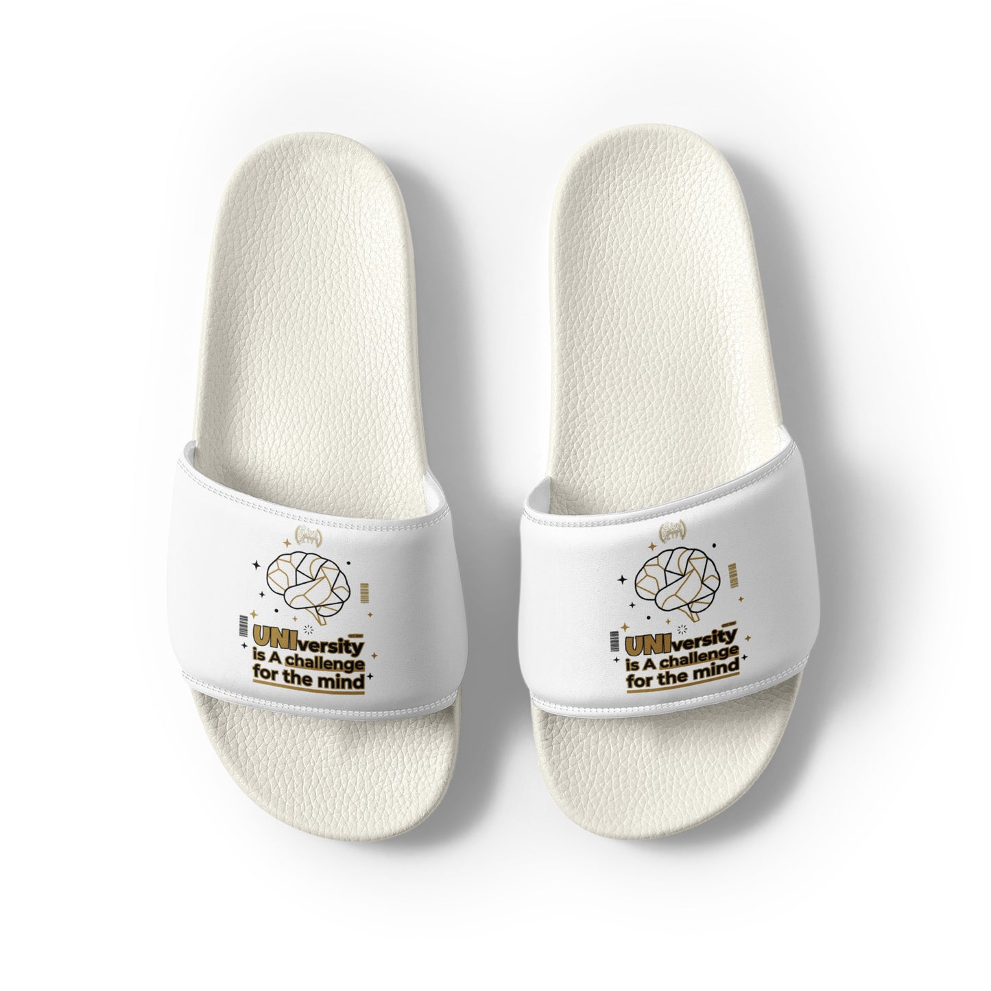White slides with text and graphics on a white background
