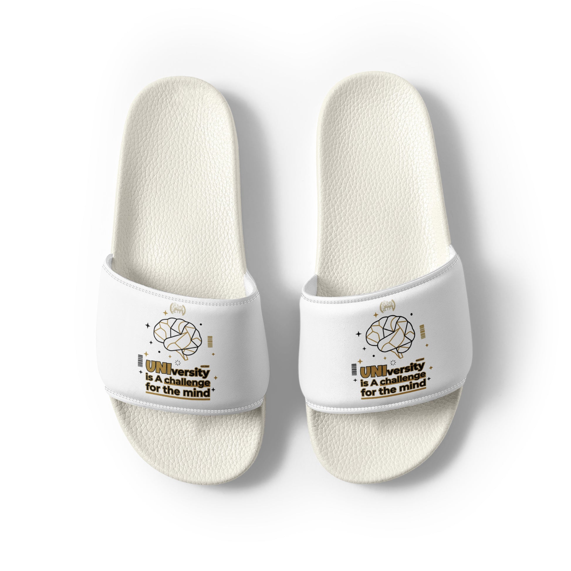 White slides with text and graphics on a white background