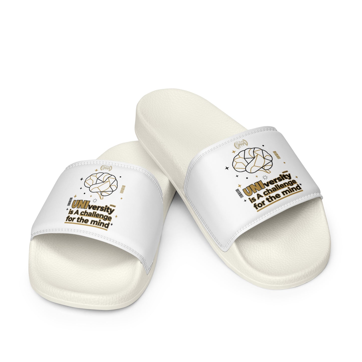 White slides with text and graphics on a white background