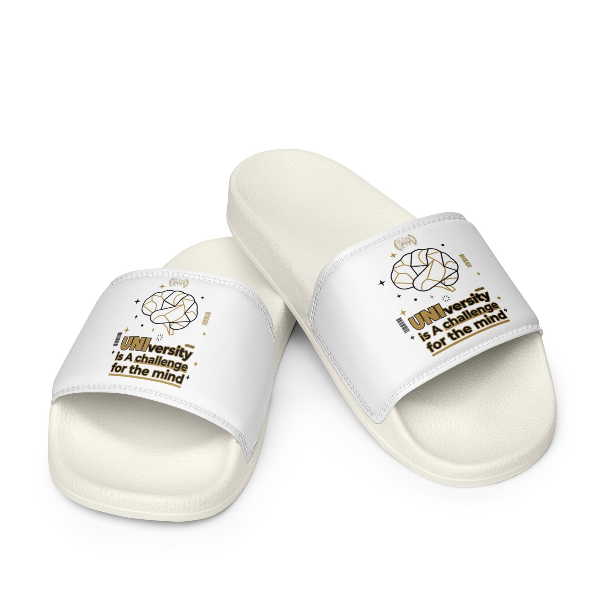 White slides with text and graphics on a white background
