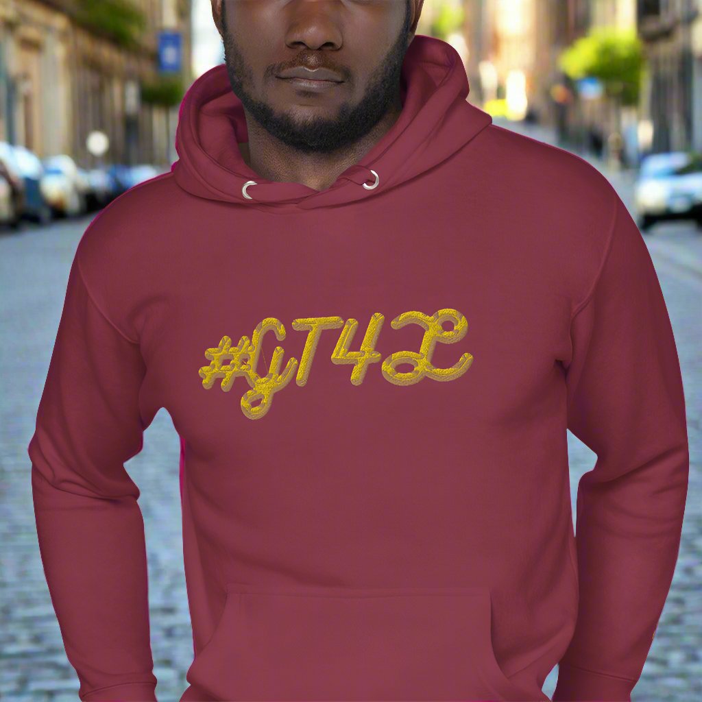 GT4L Men's Embroidered Hoodie, view 9